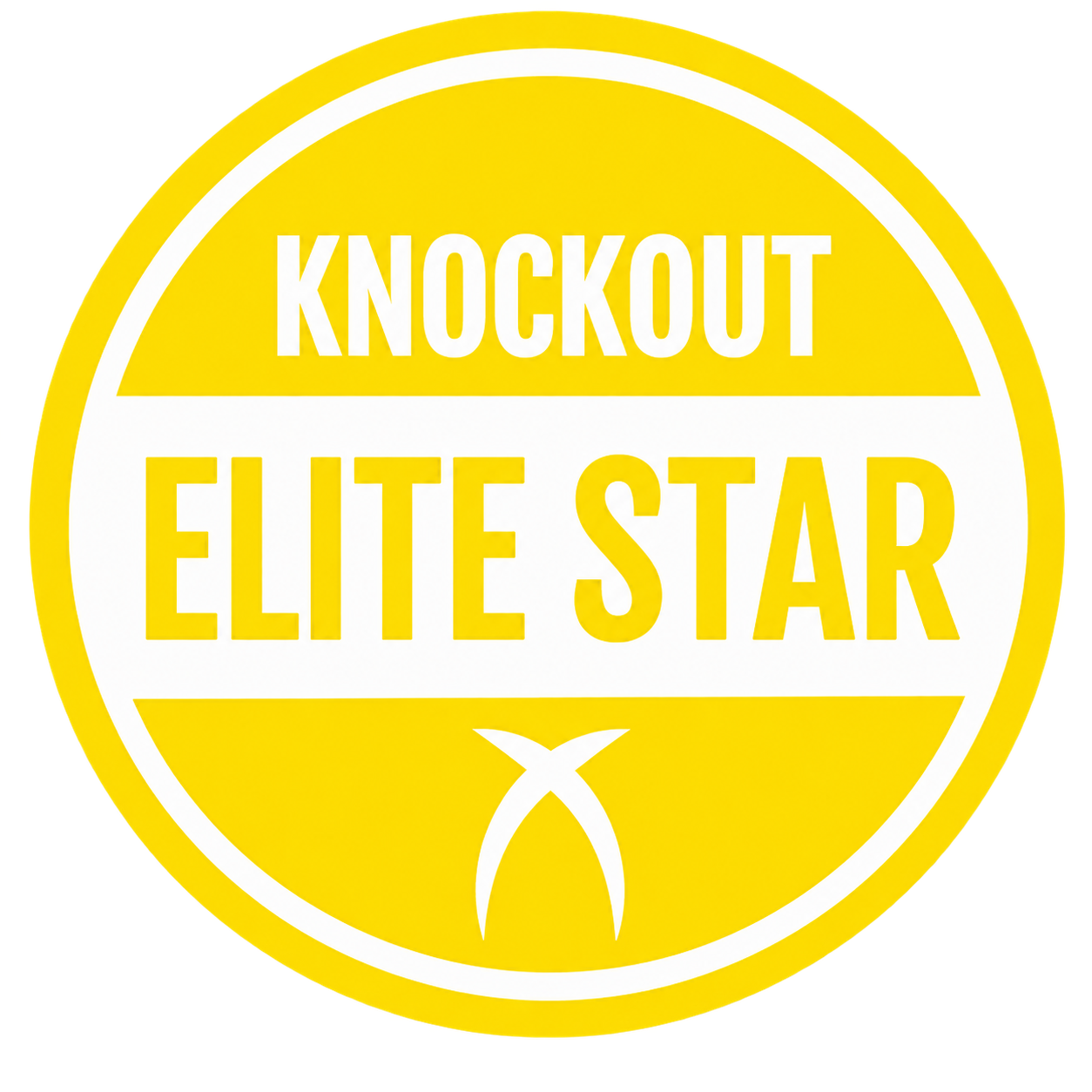 PILOXING Knockout Elite Star Zertifizierung